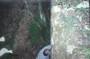 A person hiding behind a rock

Description automatically generated